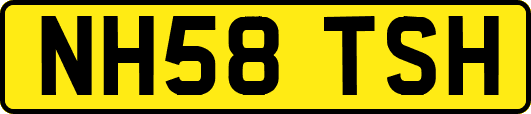 NH58TSH