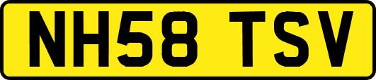 NH58TSV