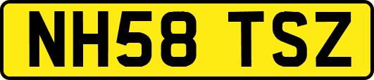 NH58TSZ