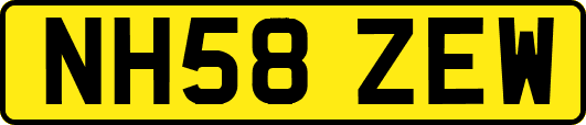 NH58ZEW