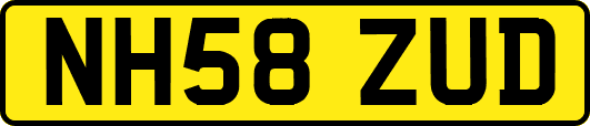 NH58ZUD
