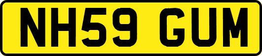 NH59GUM