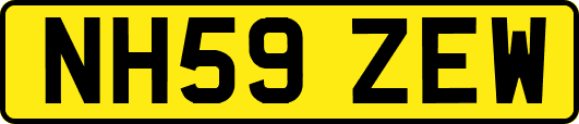 NH59ZEW