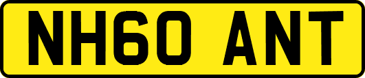 NH60ANT