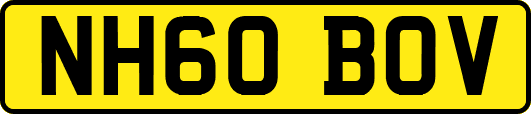 NH60BOV