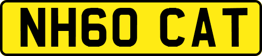 NH60CAT