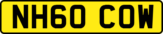NH60COW