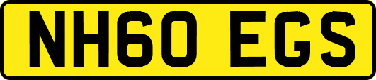 NH60EGS