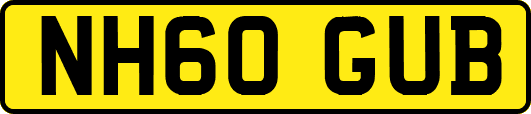 NH60GUB