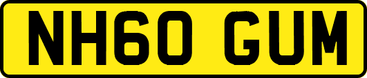 NH60GUM