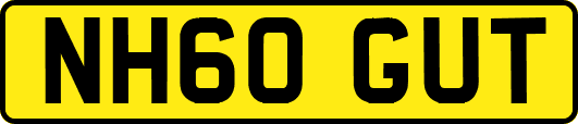 NH60GUT