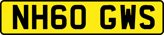 NH60GWS