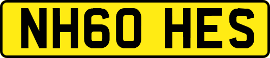 NH60HES