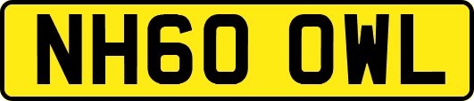 NH60OWL