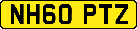 NH60PTZ
