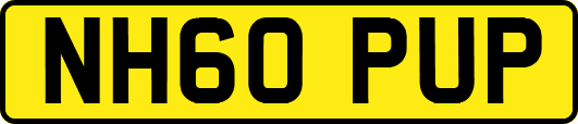 NH60PUP