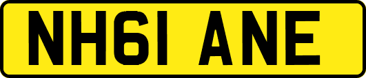 NH61ANE