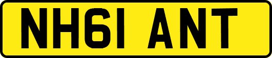 NH61ANT