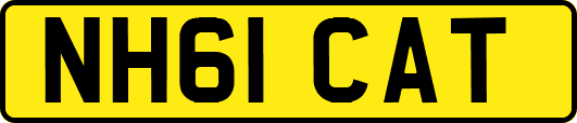 NH61CAT