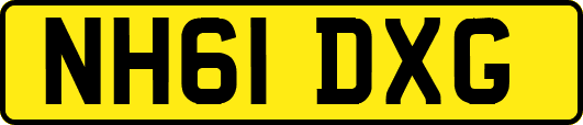 NH61DXG