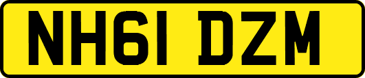 NH61DZM