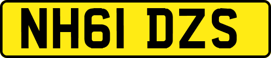 NH61DZS