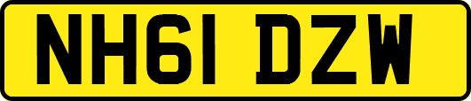 NH61DZW