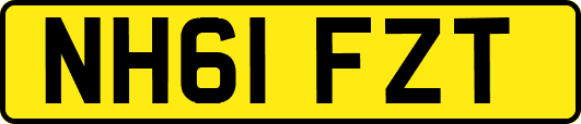 NH61FZT