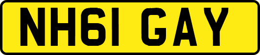 NH61GAY