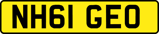NH61GEO