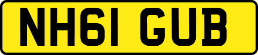 NH61GUB
