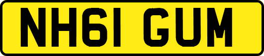 NH61GUM