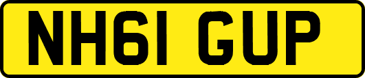 NH61GUP