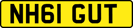 NH61GUT