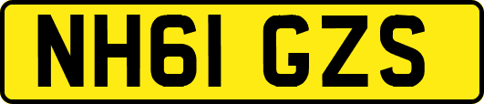 NH61GZS