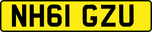 NH61GZU