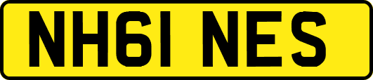 NH61NES