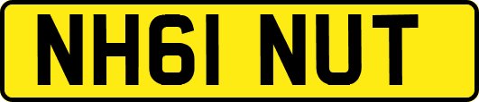 NH61NUT