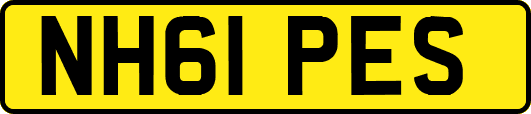 NH61PES