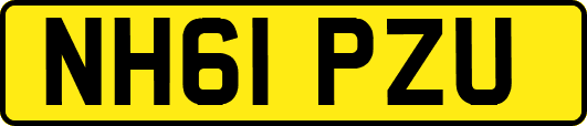 NH61PZU