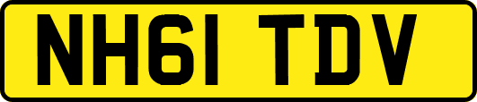 NH61TDV