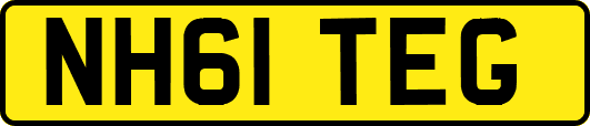 NH61TEG