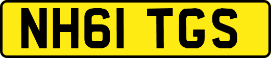 NH61TGS