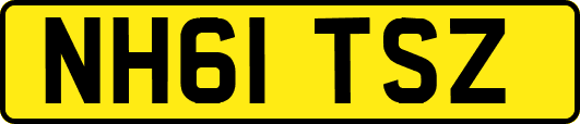 NH61TSZ