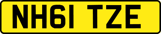 NH61TZE
