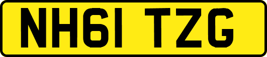 NH61TZG