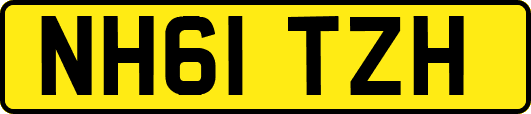 NH61TZH