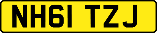 NH61TZJ