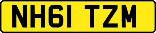 NH61TZM