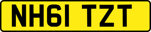 NH61TZT
